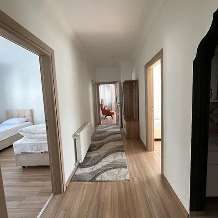 Defne Çamlıhemşin